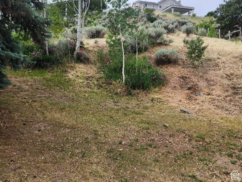 CREEK ROAD TERRACE PLAT B - Land