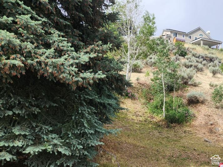 CREEK ROAD TERRACE PLAT B - Land