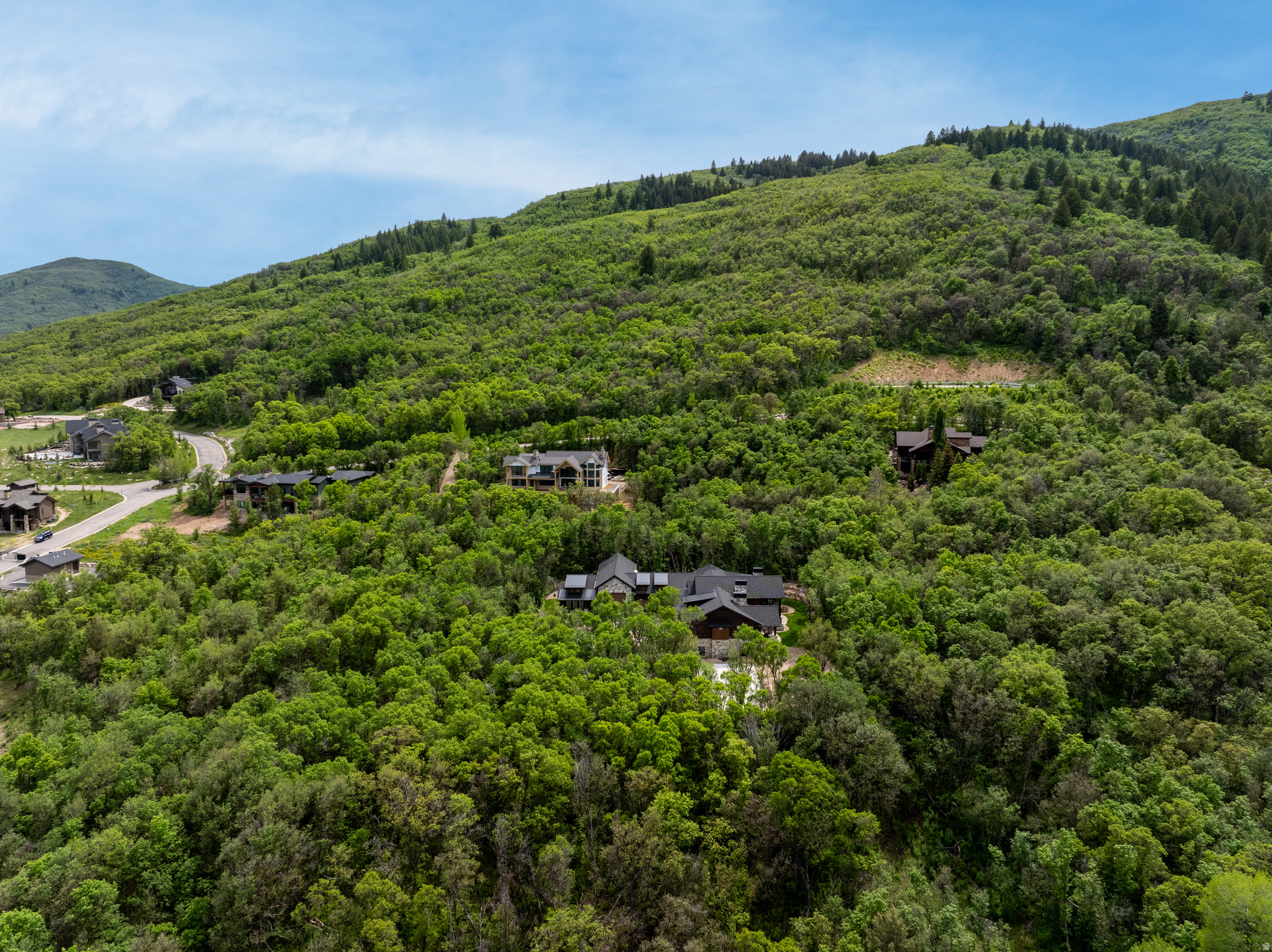 PINEVIEW OVERLOOK - Residential