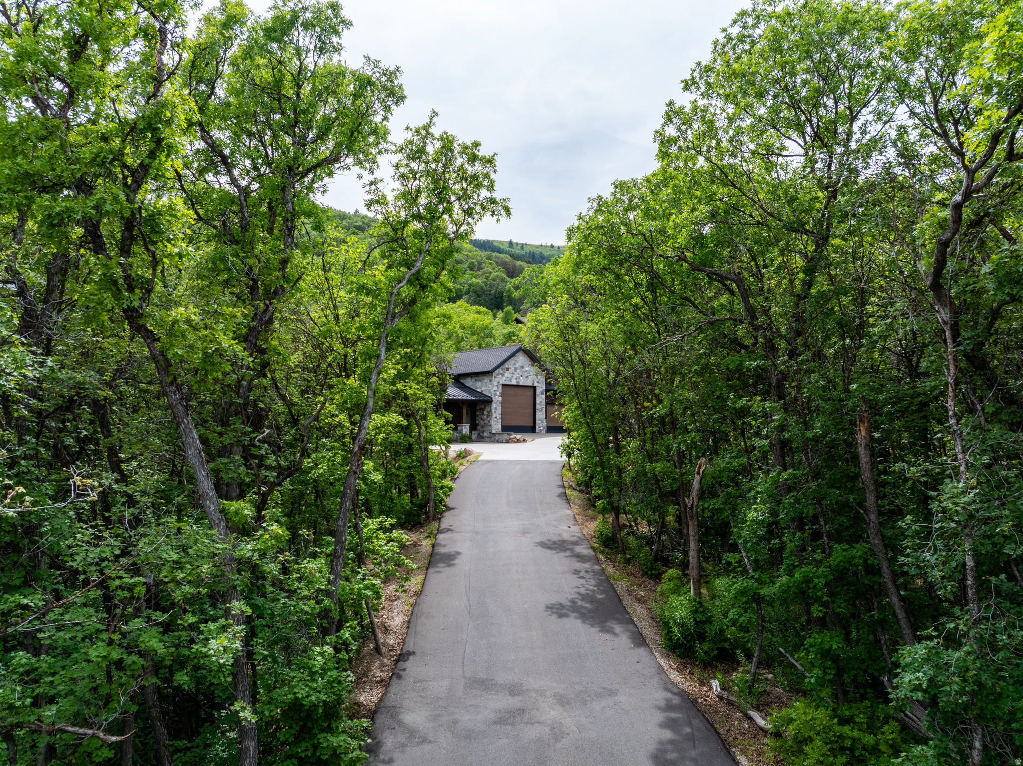 PINEVIEW OVERLOOK - Residential