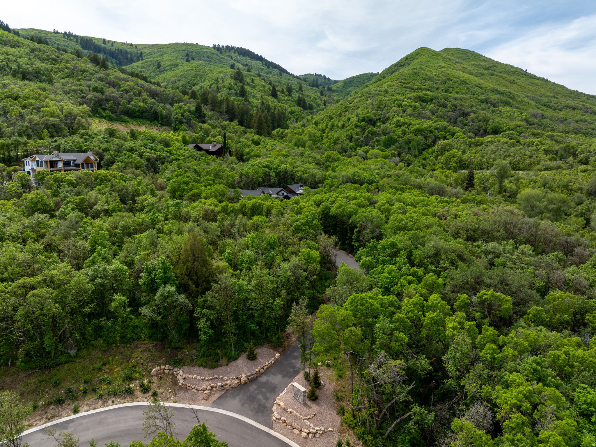 PINEVIEW OVERLOOK - Residential