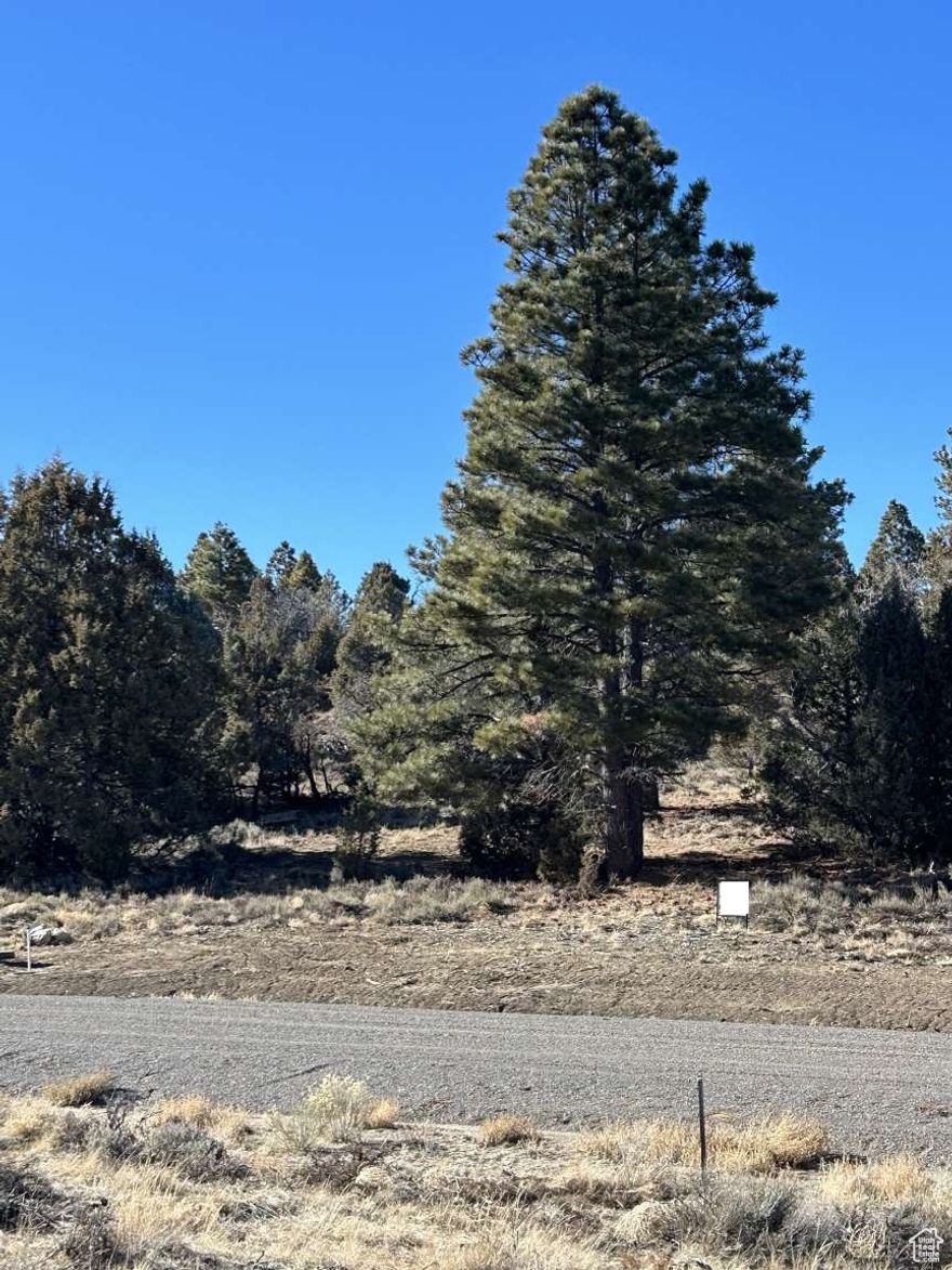 Large 1.5 acres lots. Beautiful, heavily wooded lot with 400 year old Ponderosa Pines. Hidden building site with awesome views. Water, power, phone, hi-speed internet all underground to lot. Year round access. Seller finance ava