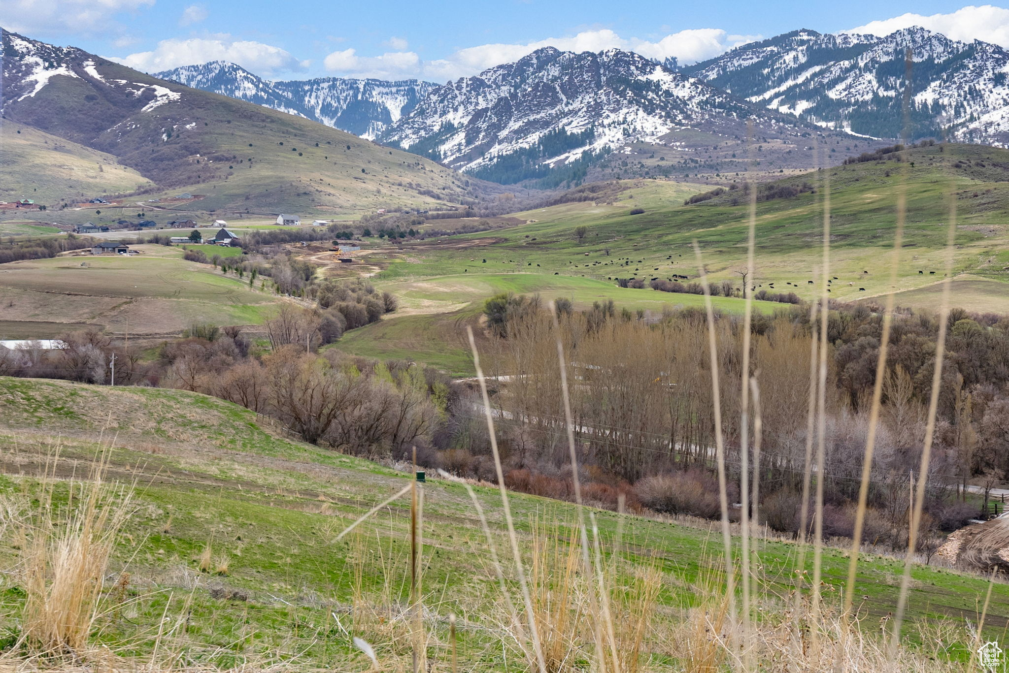 5337 E Maple Creek Rd #1, Franklin, Idaho image 12