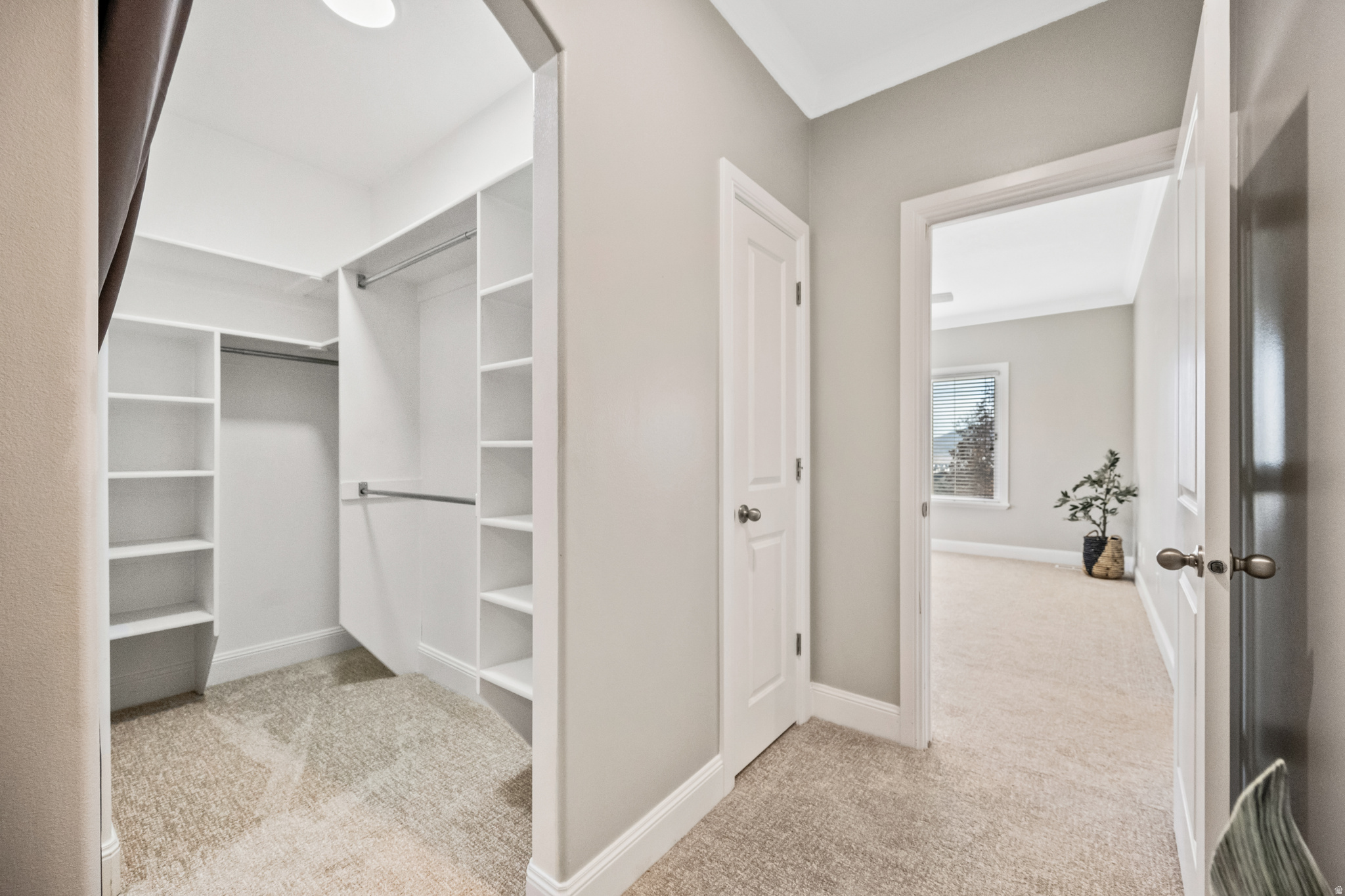 MOUNT AIREY - Residential