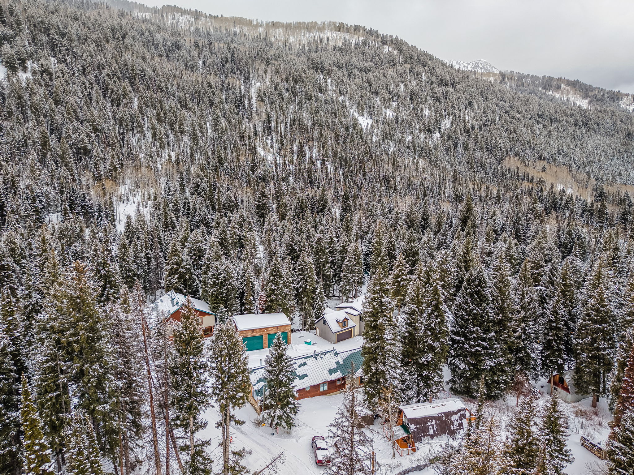 PINE TREE SUB - Residential