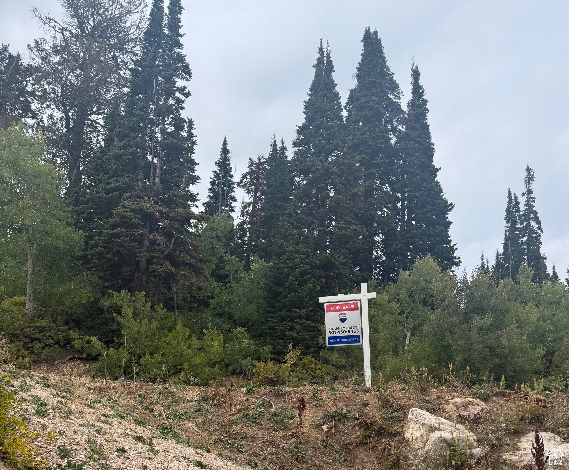 POWDER MOUNTAIN WEST - Residential