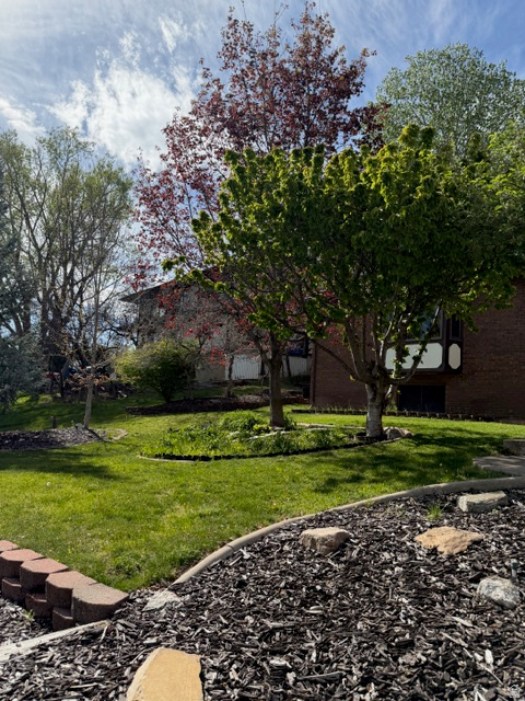 DIMOND OAKS - Residential