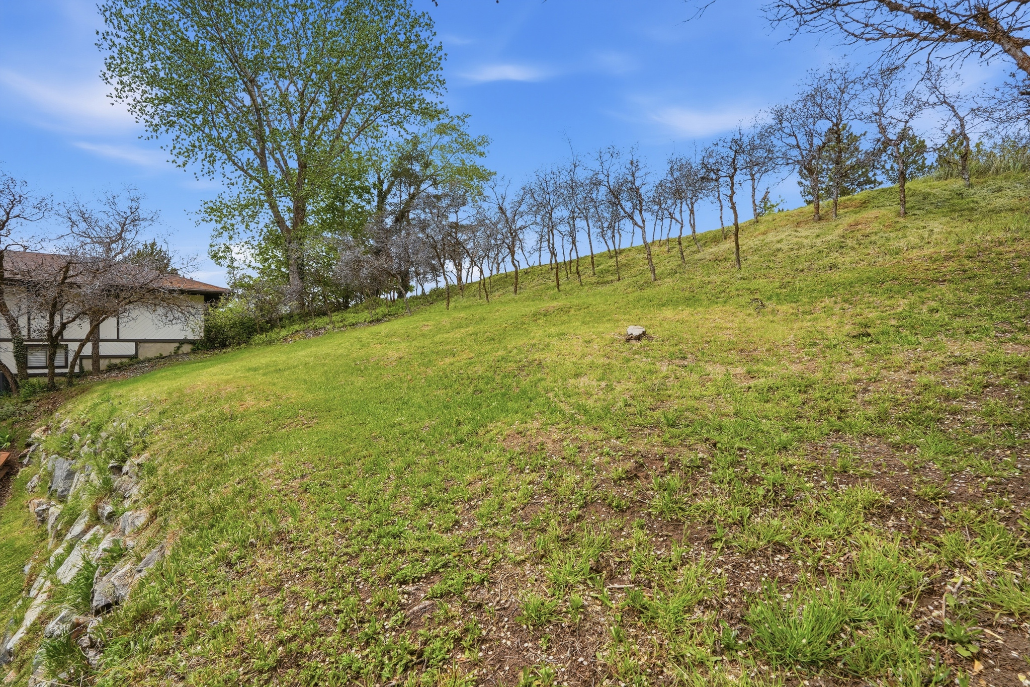 DIMOND OAKS - Residential