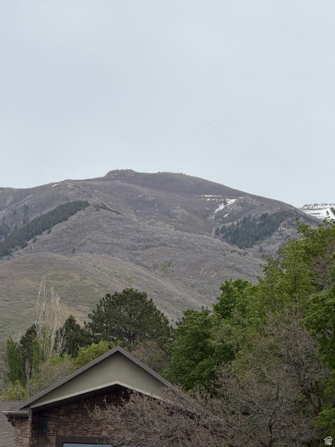 DIMOND OAKS - Residential