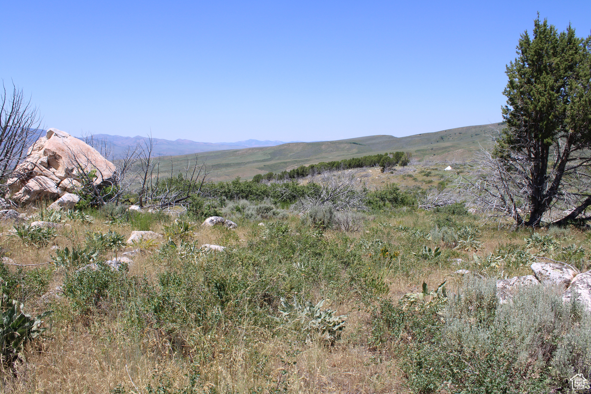 Land, McCammon, Idaho image 37