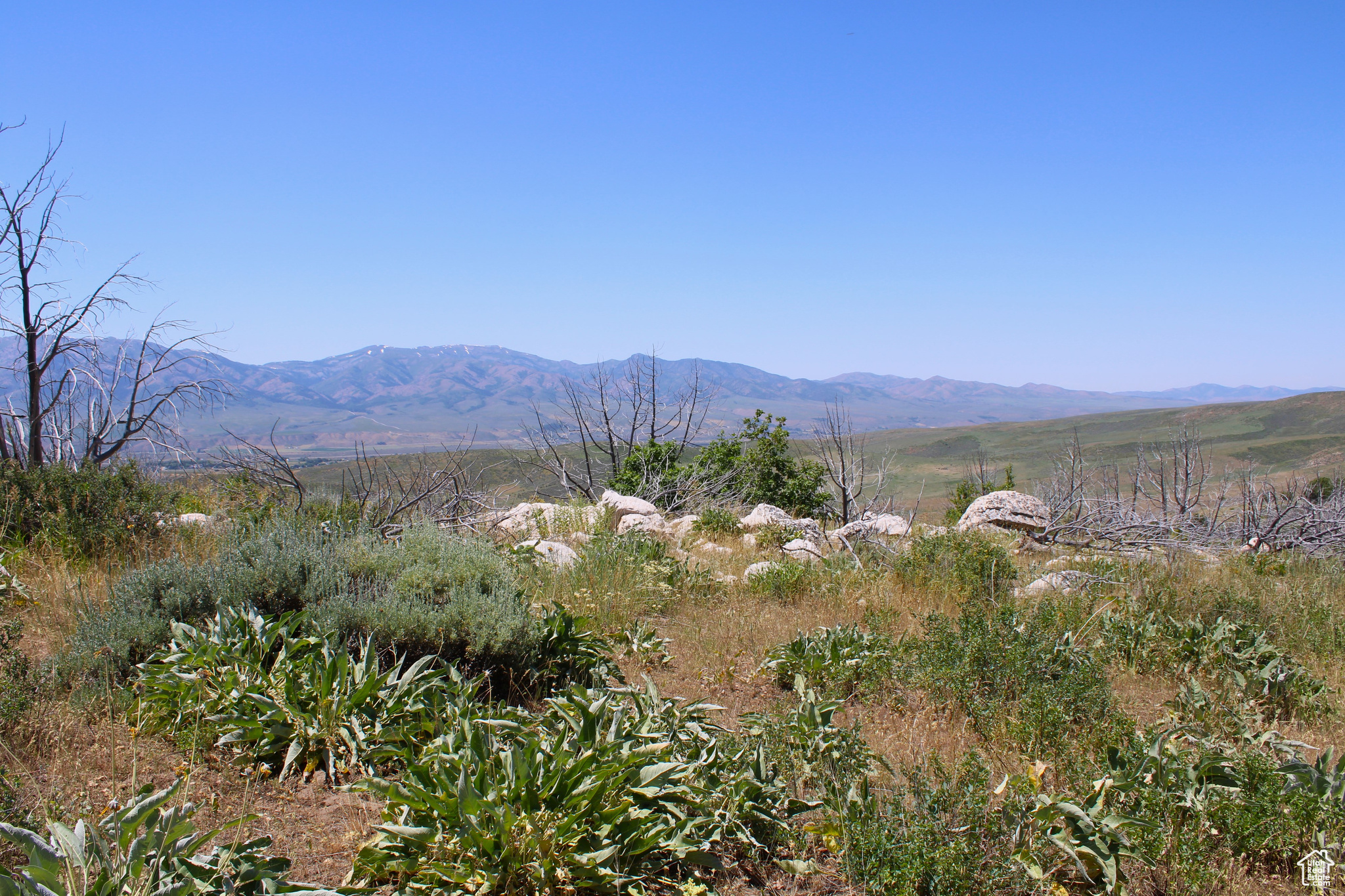 Land, McCammon, Idaho image 36