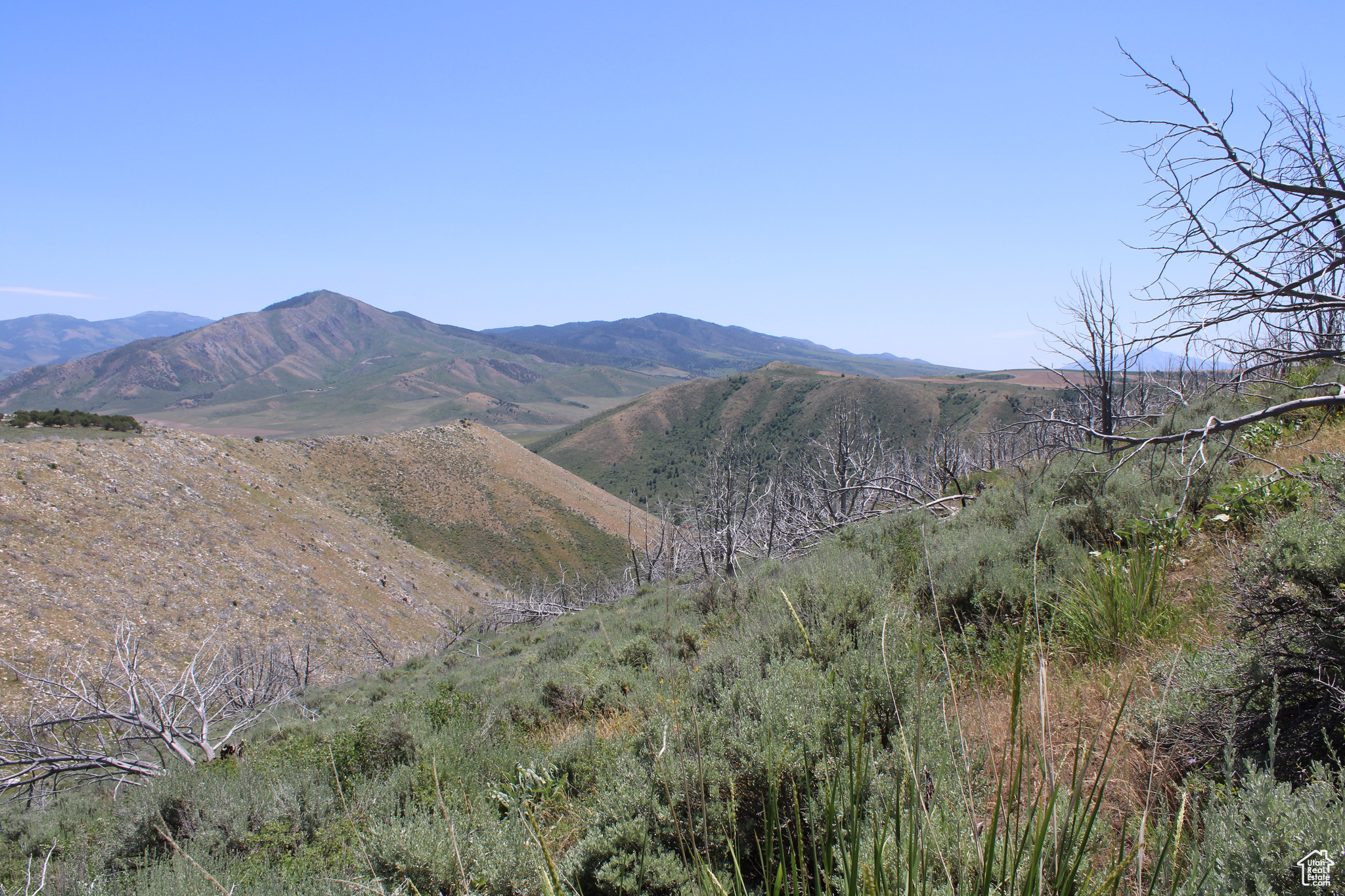 Land, McCammon, Idaho image 29