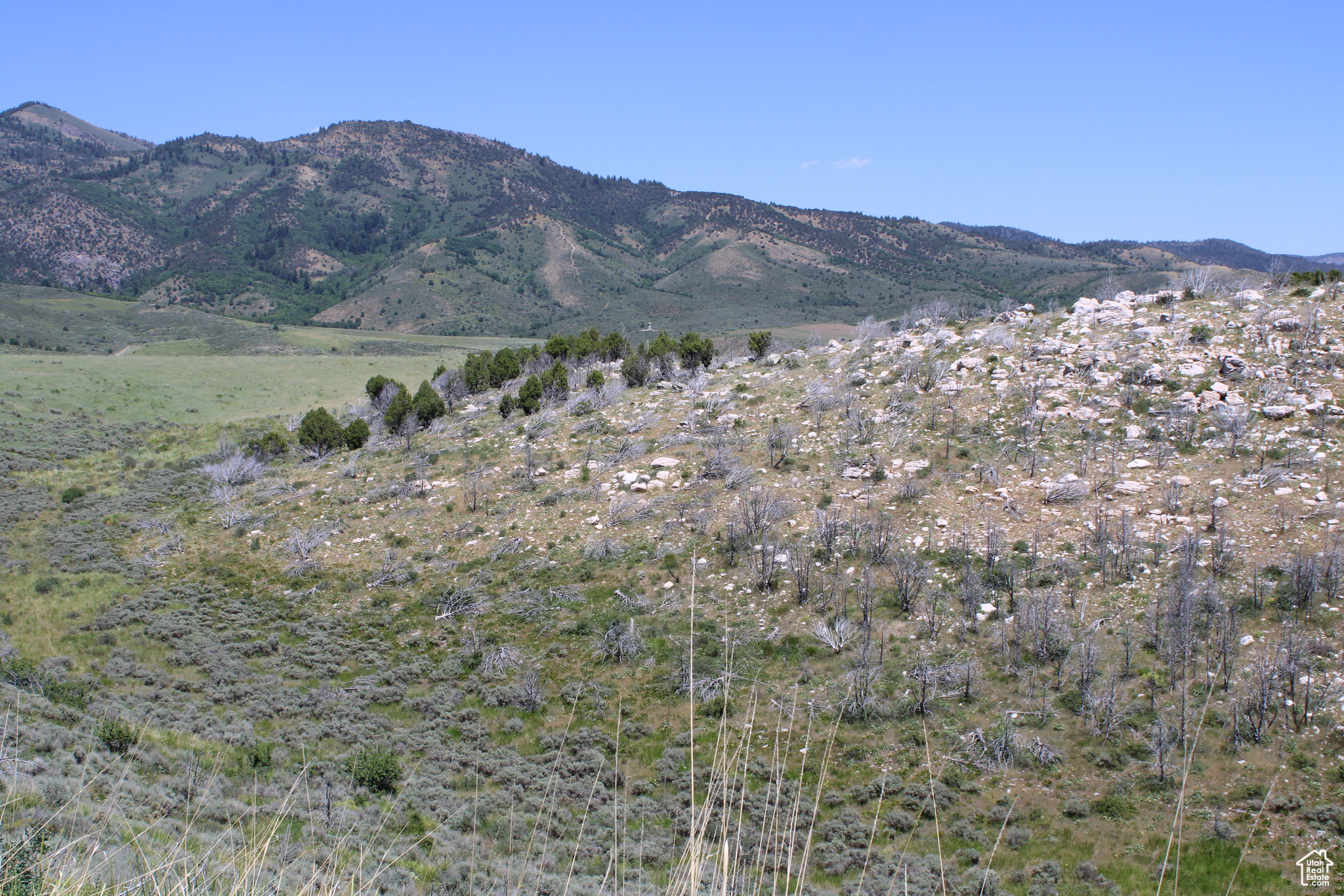 Land, McCammon, Idaho image 46