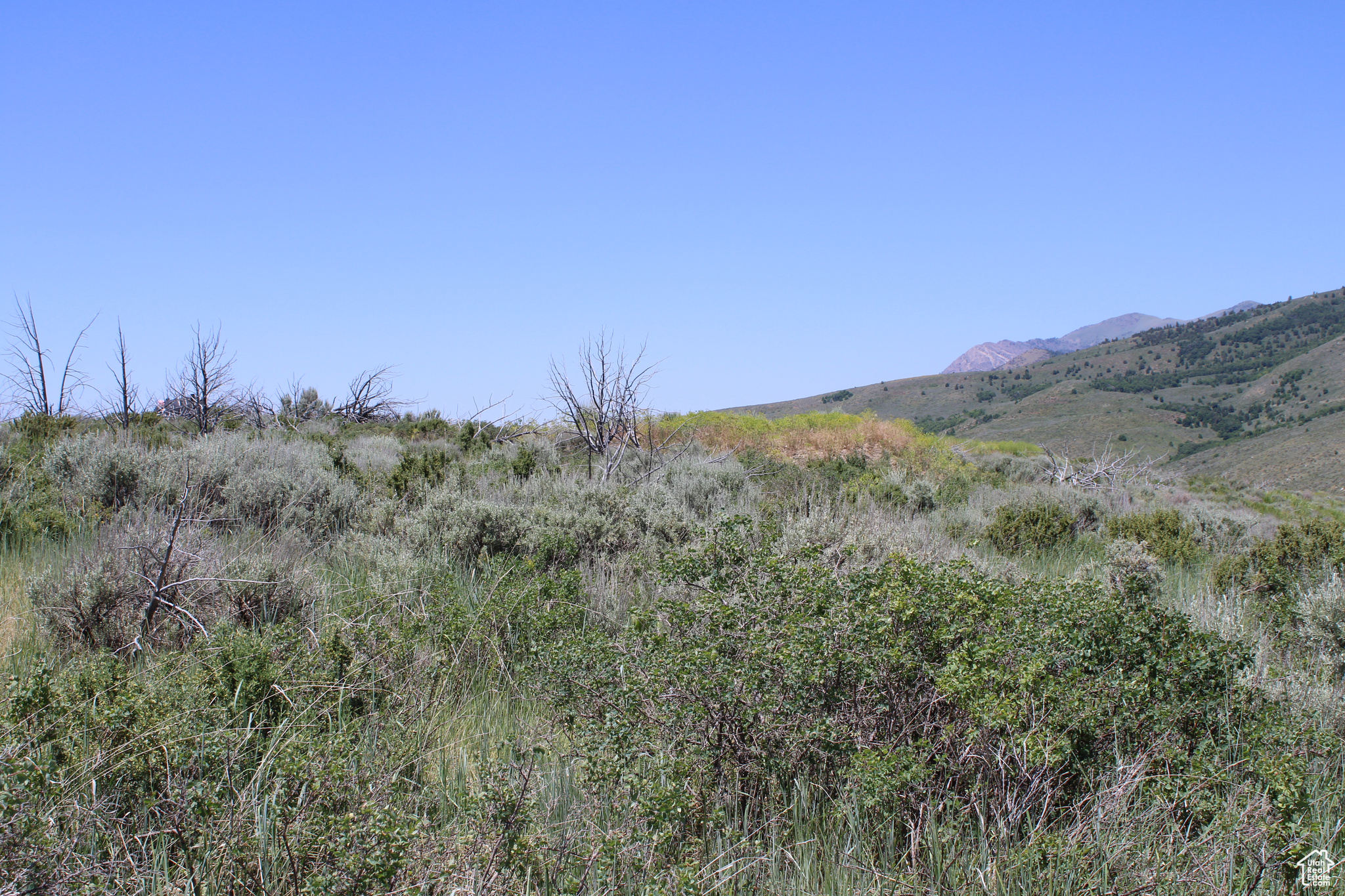 Land, McCammon, Idaho image 45