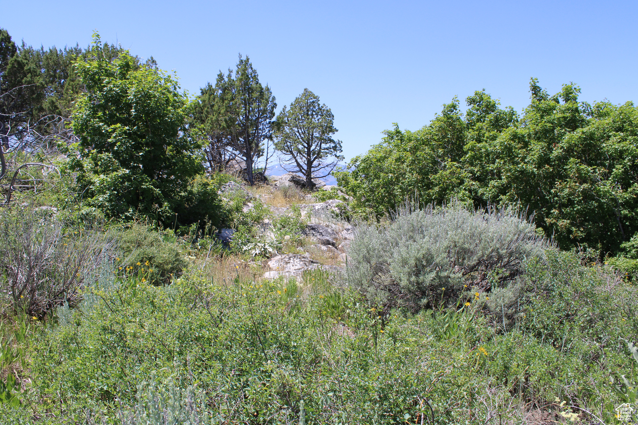 Land, McCammon, Idaho image 41