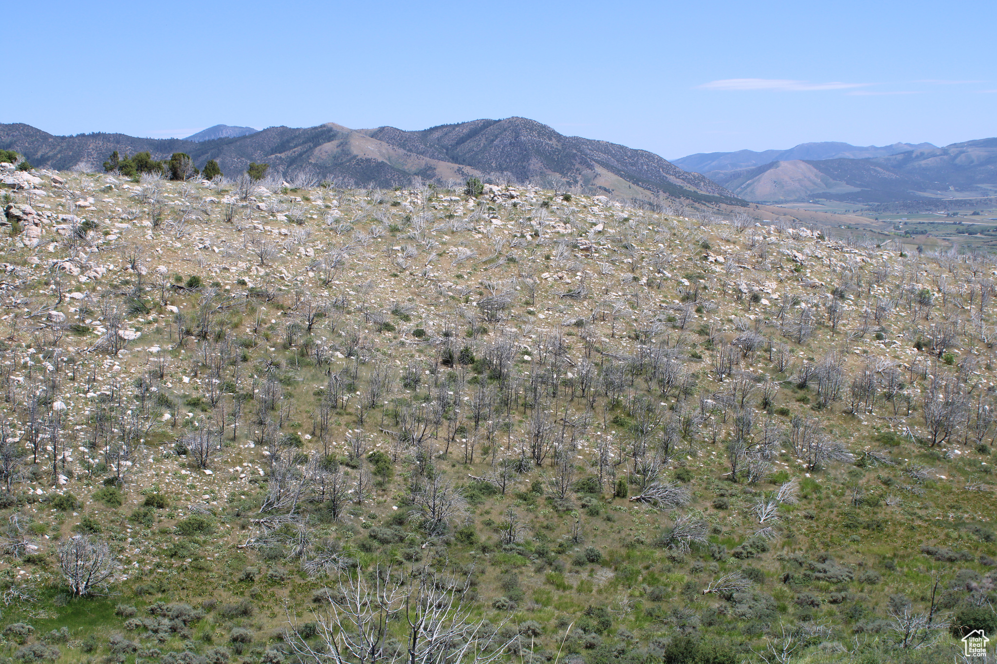 Land, McCammon, Idaho image 47