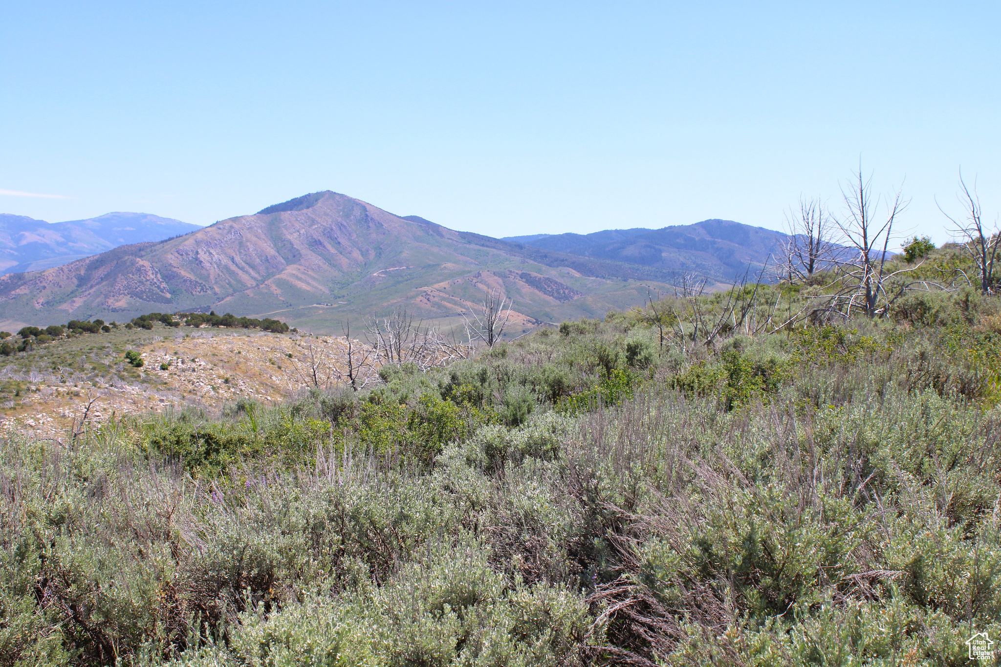 Land, McCammon, Idaho image 44