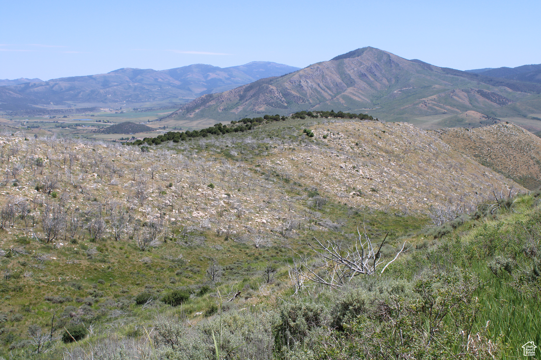 Land, McCammon, Idaho image 48