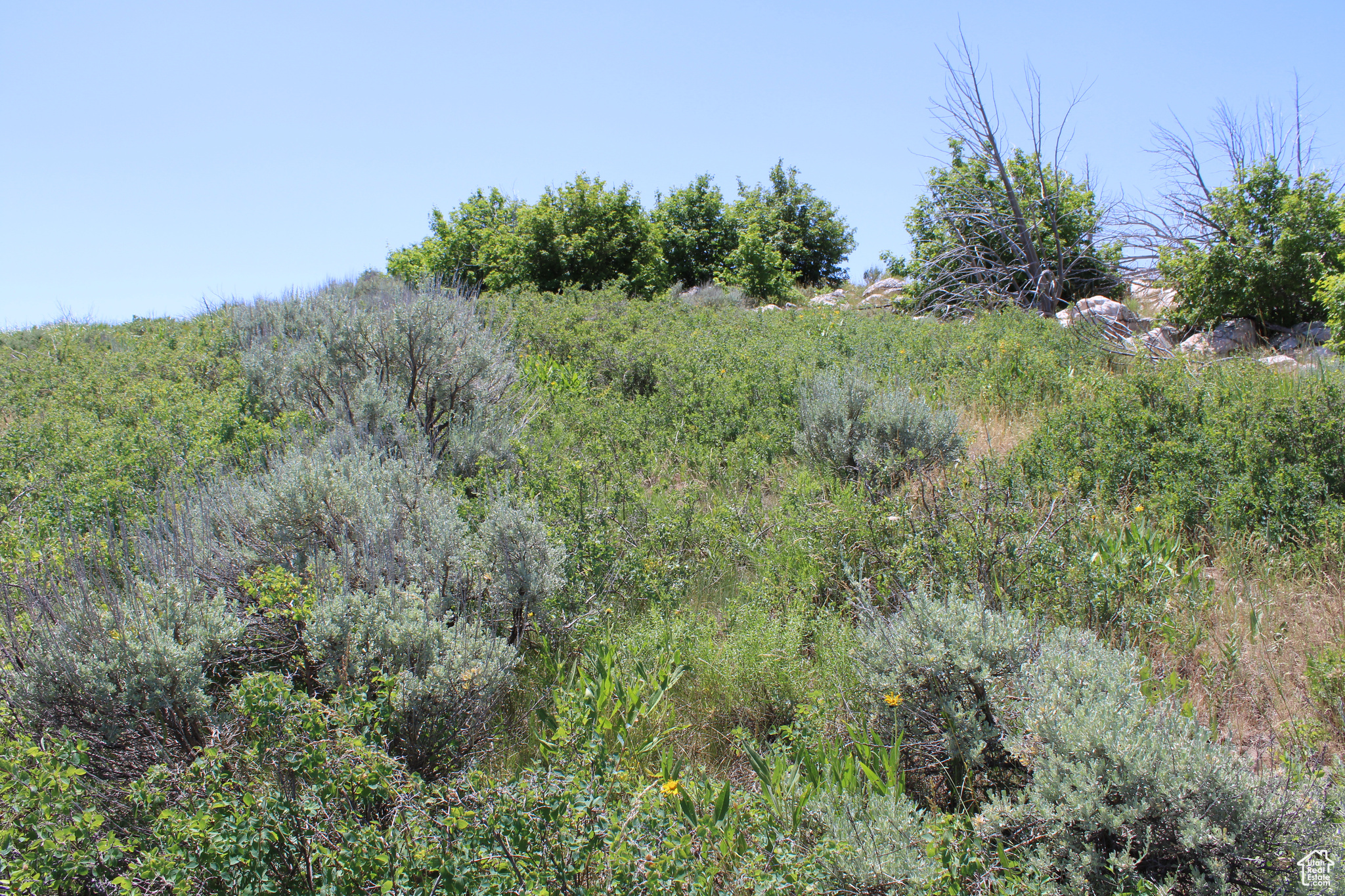 Land, McCammon, Idaho image 18