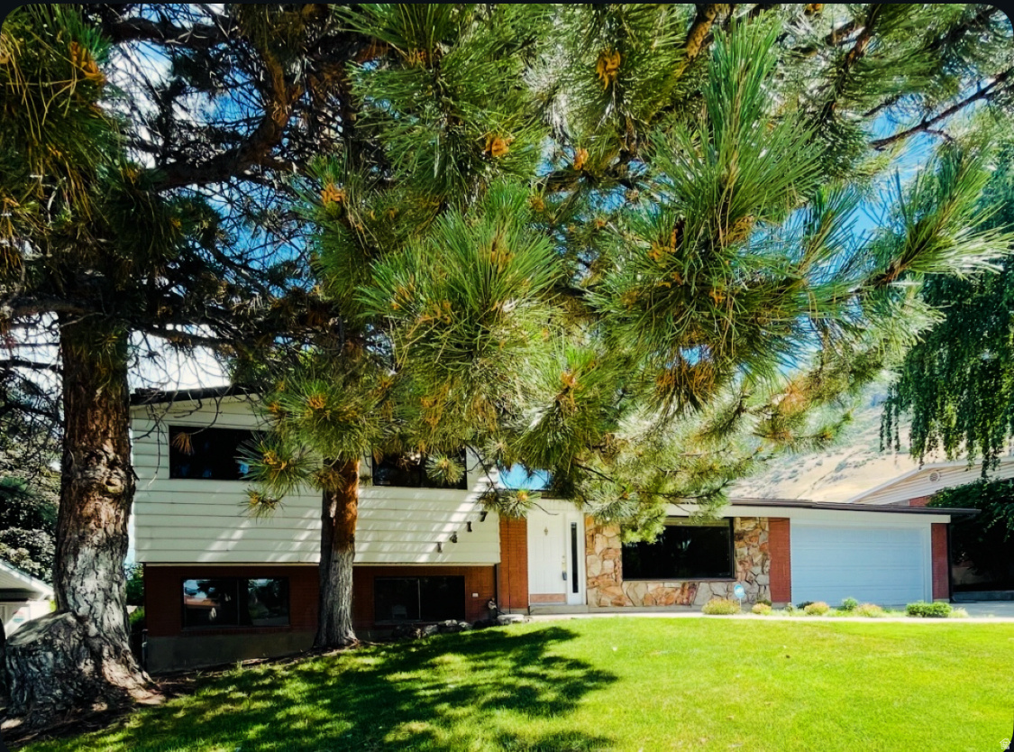 HILLSDALE HEIGHTS - Residential