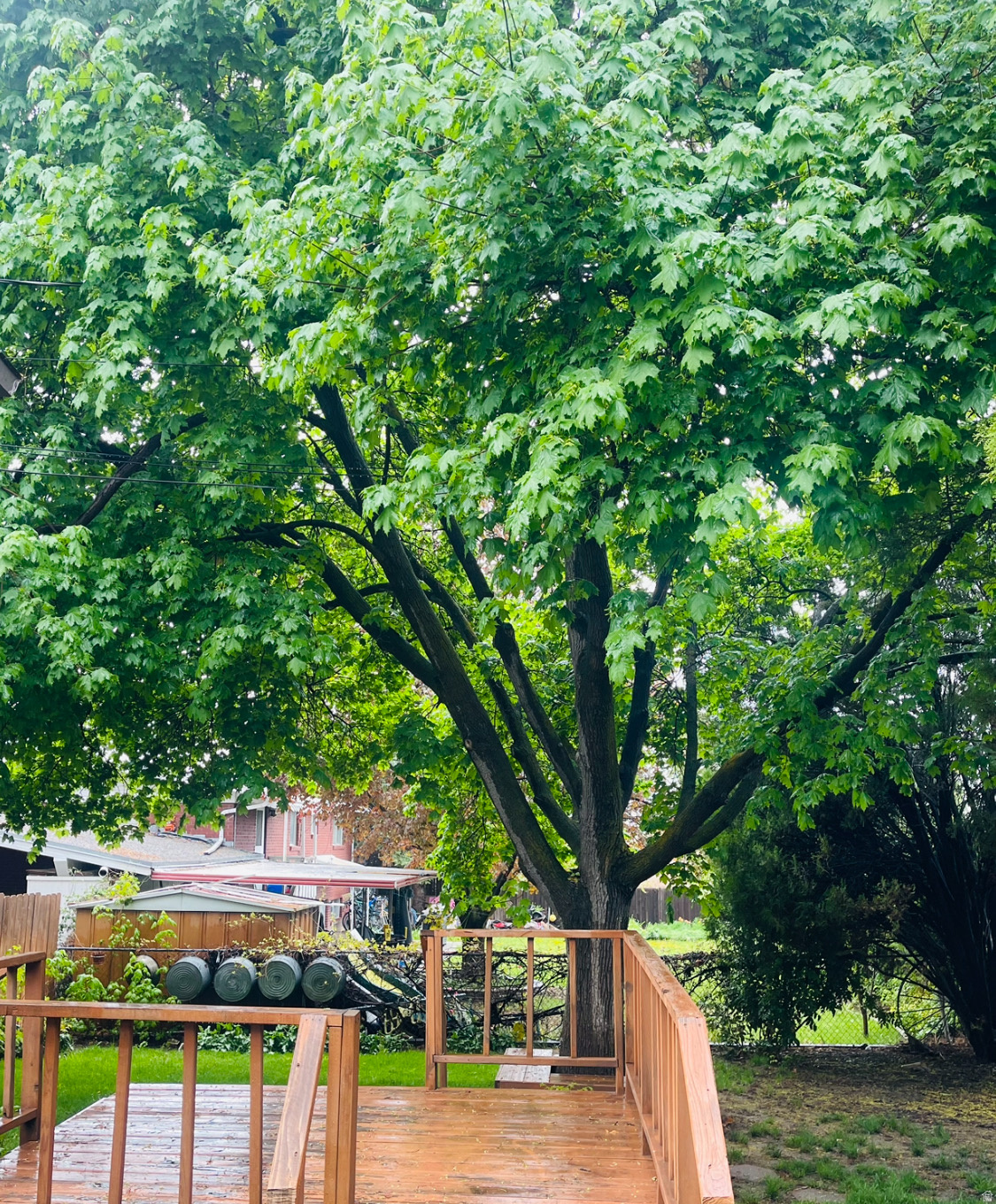 HILLSDALE HEIGHTS - Residential