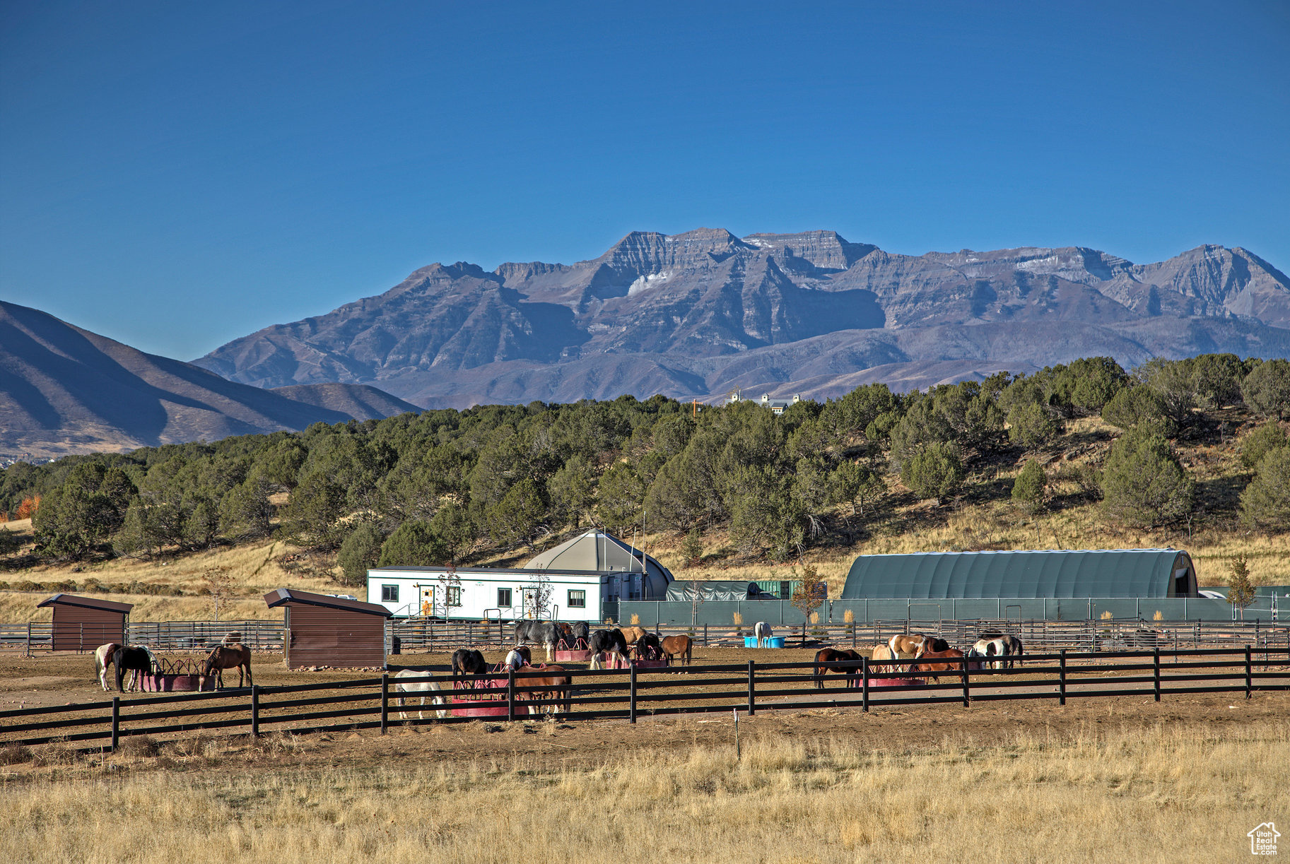 RED LEDGES - Land