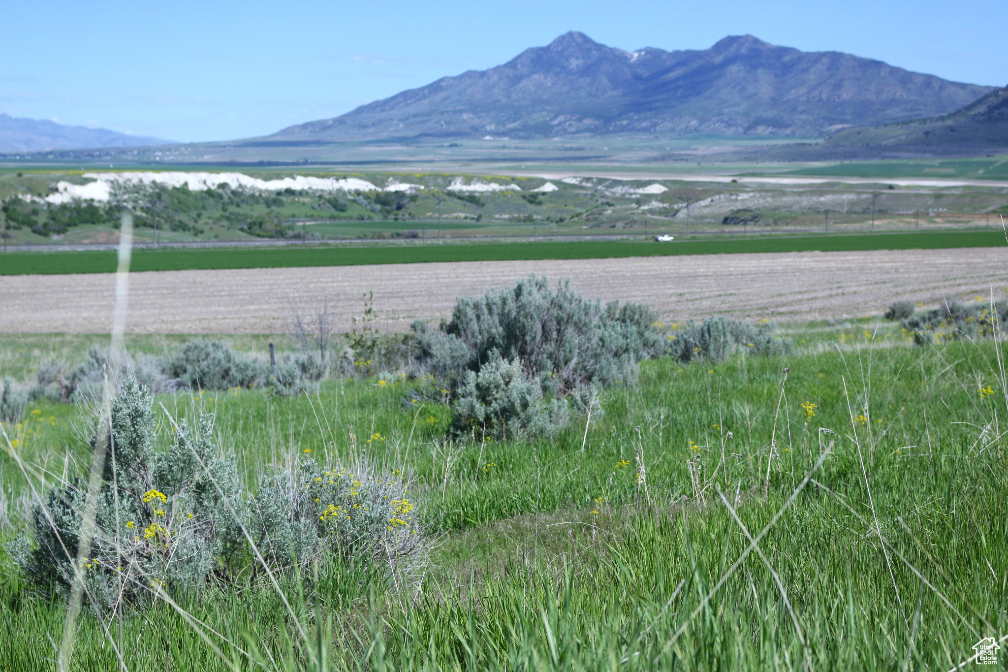 Land, Collinston, Utah image 19