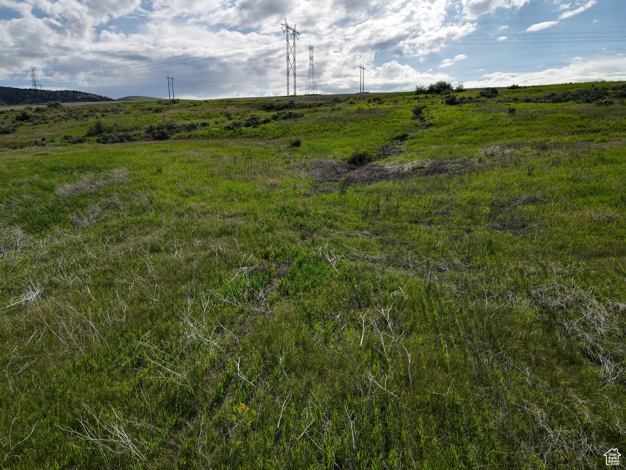 Land, Collinston, Utah image 9