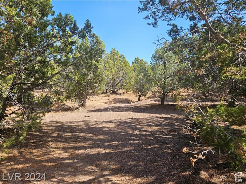 3911 S 17975 #8, Cedar City, Utah image 16