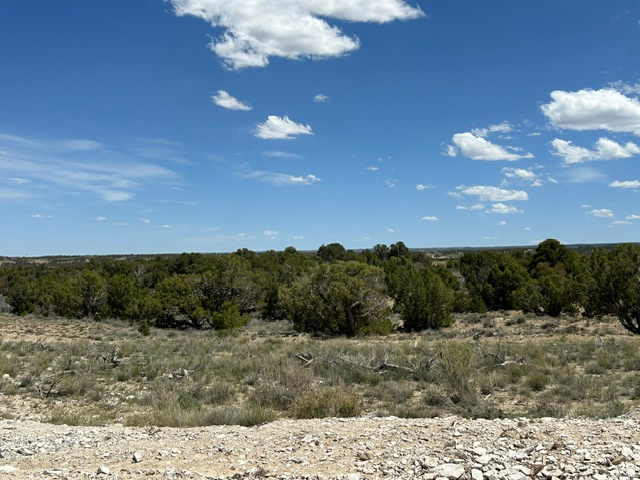 SILVER MOON RANCH PHASE 1 - Land