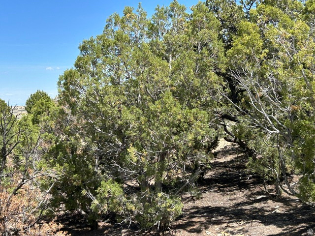 SILVER MOON RANCH PHASE 1 - Land