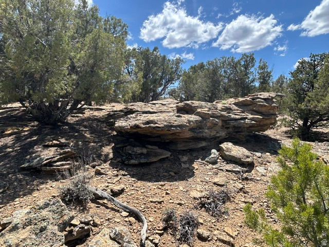 SILVER MOON RANCH PHASE 1 - Land