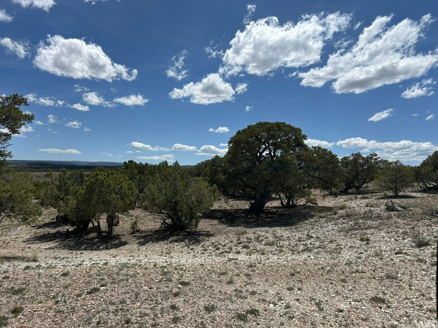 SILVER MOON RANCH PHASE 1 - Land