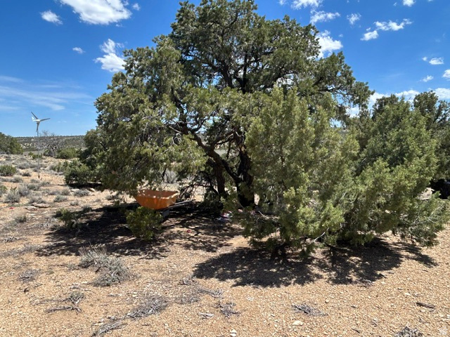 SILVER MOON RANCH PHASE 1 - Land