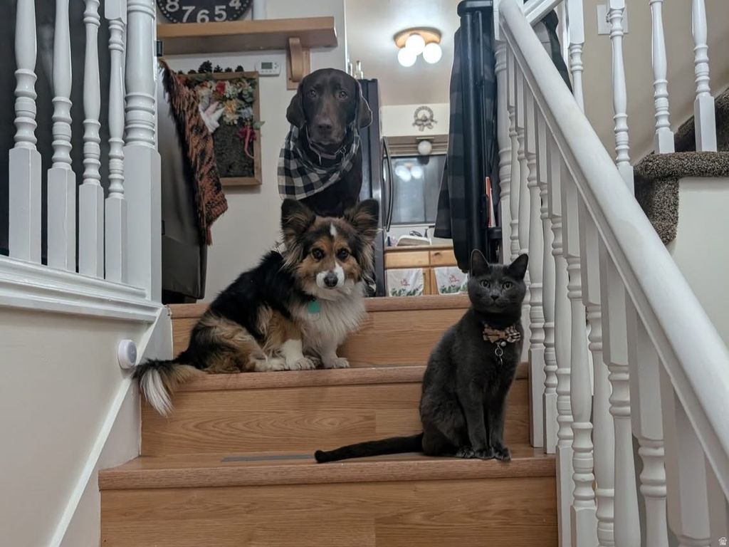 Photo of 430 W 100 N, Clearfield, UT 84015 (MLS # 2130244)