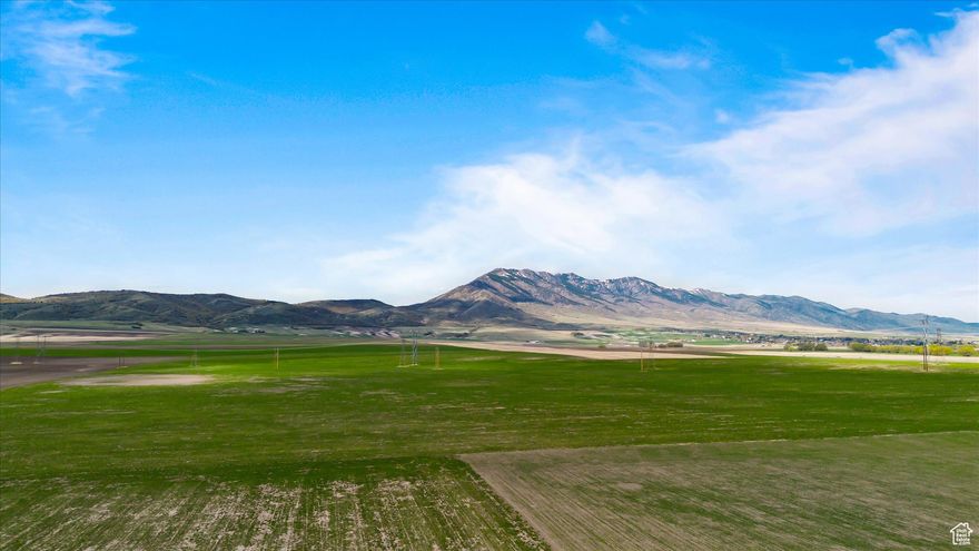 Excellent dry farm between Newton and Clarkston!  These fields can be accessed from two different roads.  Also includes Tax ID #13-056-0017.