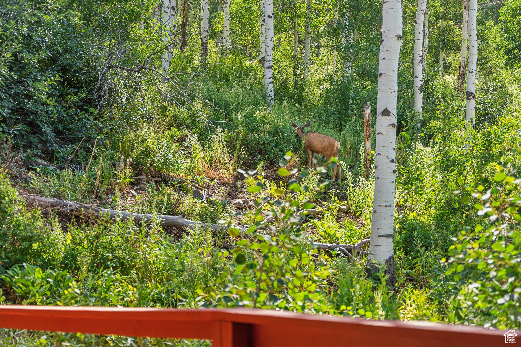 3318 S Forget Me Not Ln #43, Heber City, Utah image 36