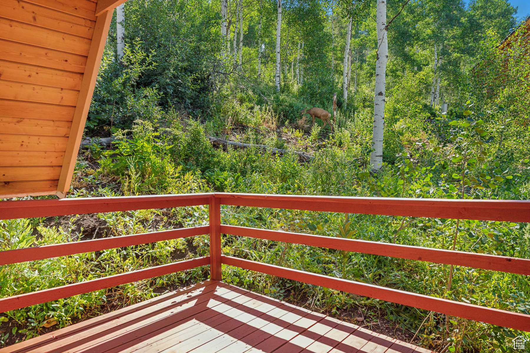 3318 S Forget Me Not Ln #43, Heber City, Utah image 25