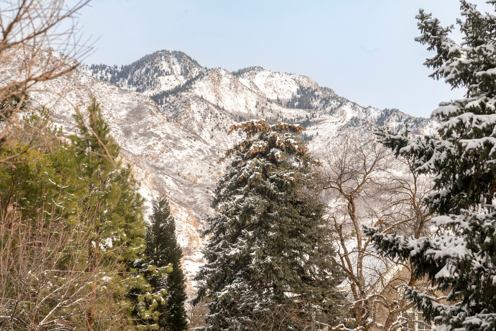 COTTONWOOD GLADE - Residential