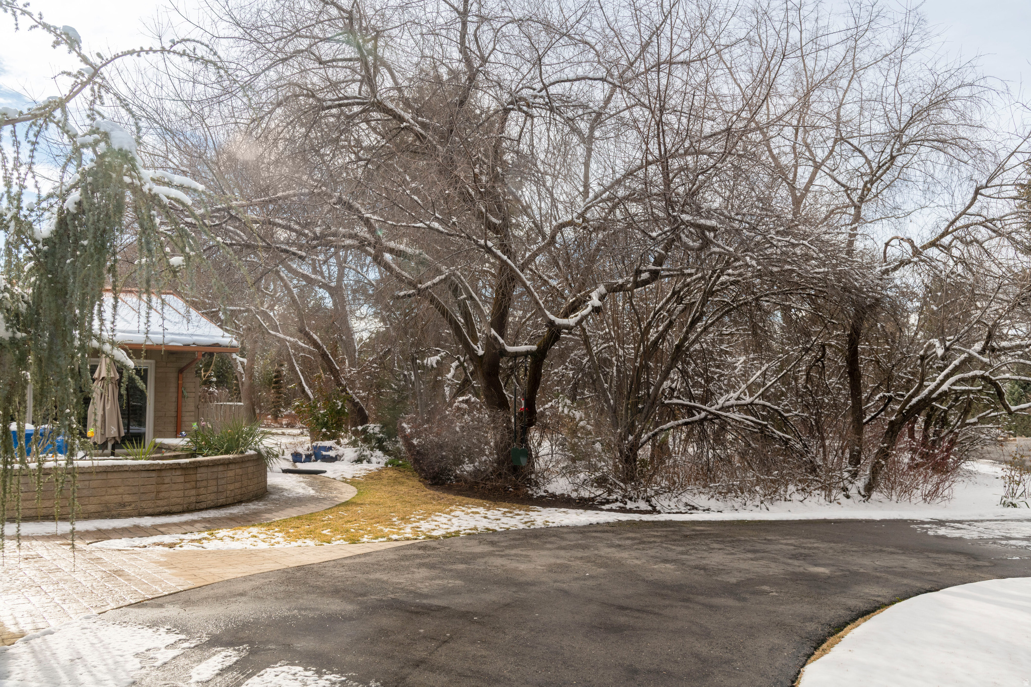 COTTONWOOD GLADE - Residential