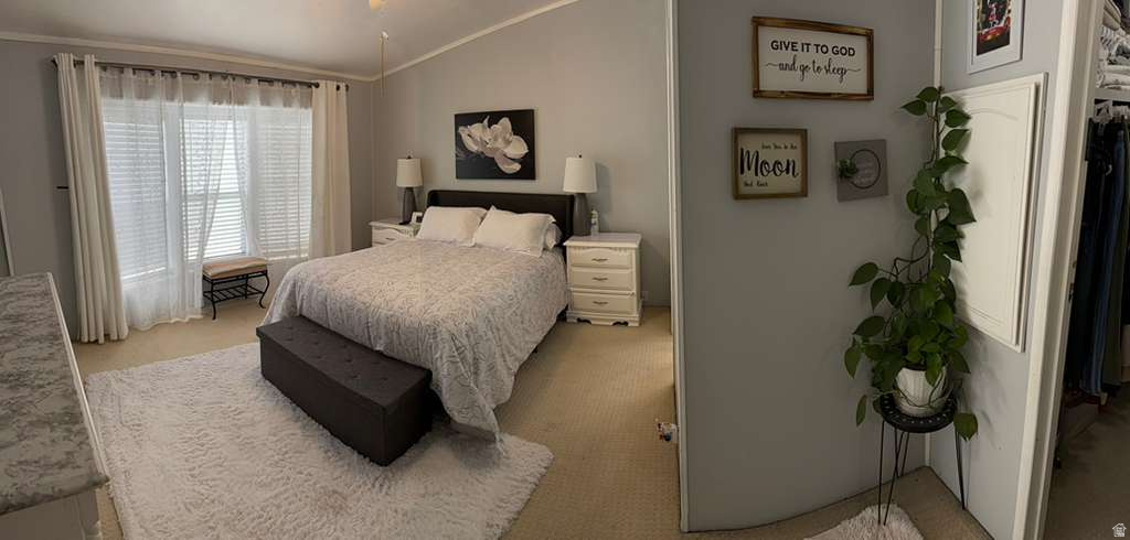 SHADOW RIDGE - Residential