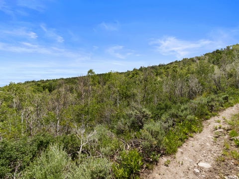 Vacant Land For Sale - 4891 S Woodland Way<br/> Wasatch County, Kamas, UT 84036