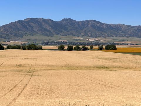 Vacant Land For Sale - Land<br/> Cache County, Trenton, UT 84338