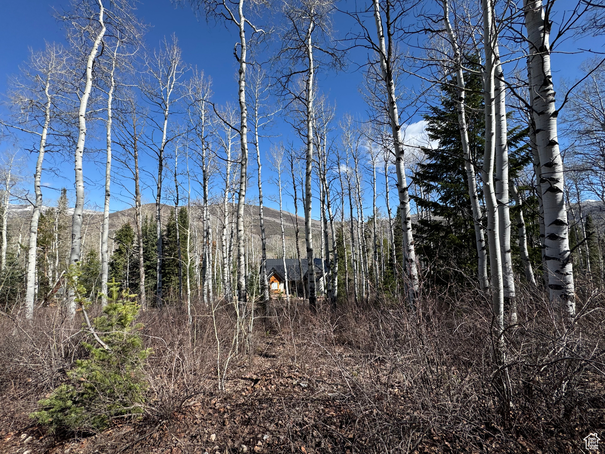 PINE MOUNTAIN - Land