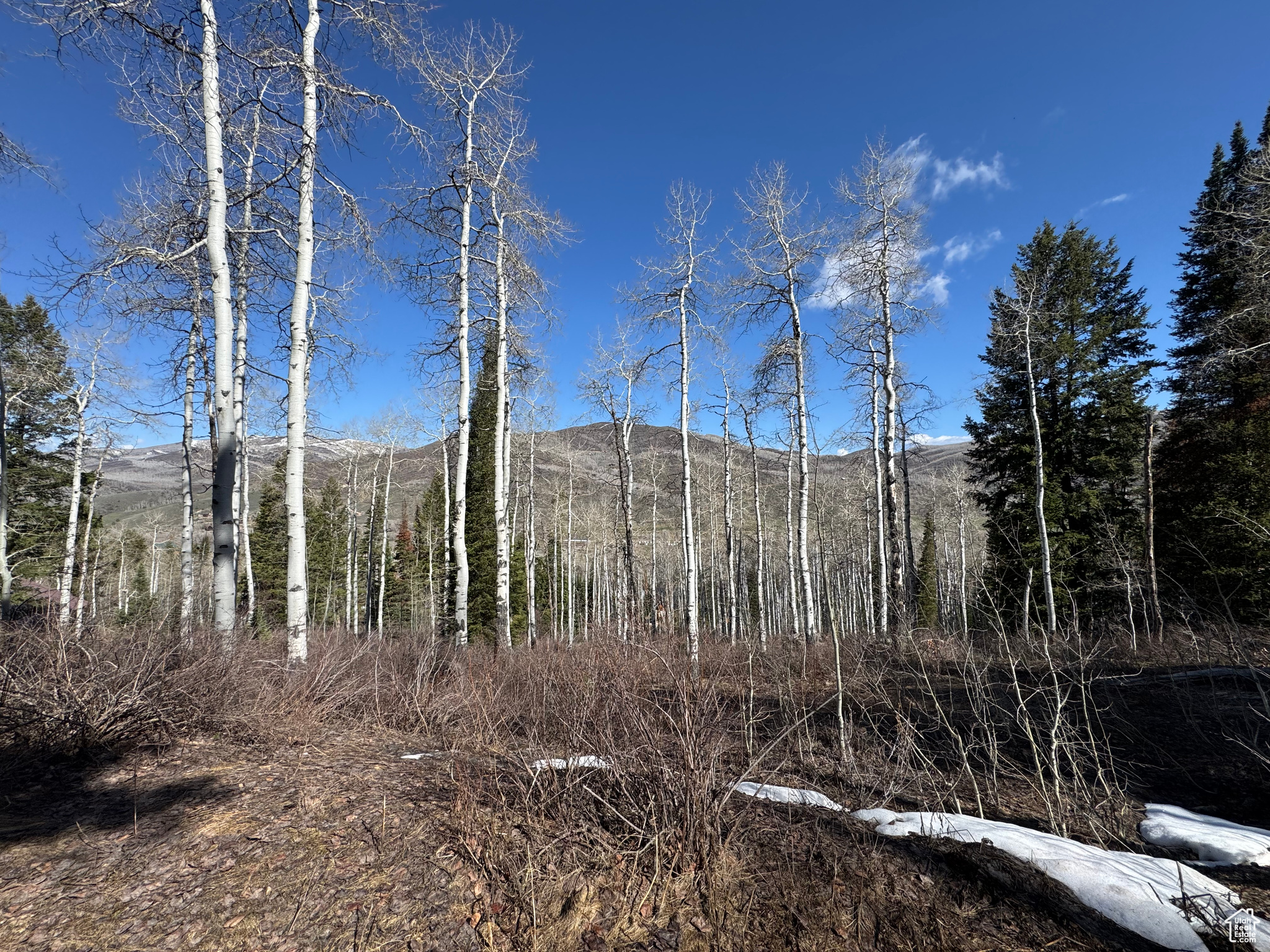 PINE MOUNTAIN - Land