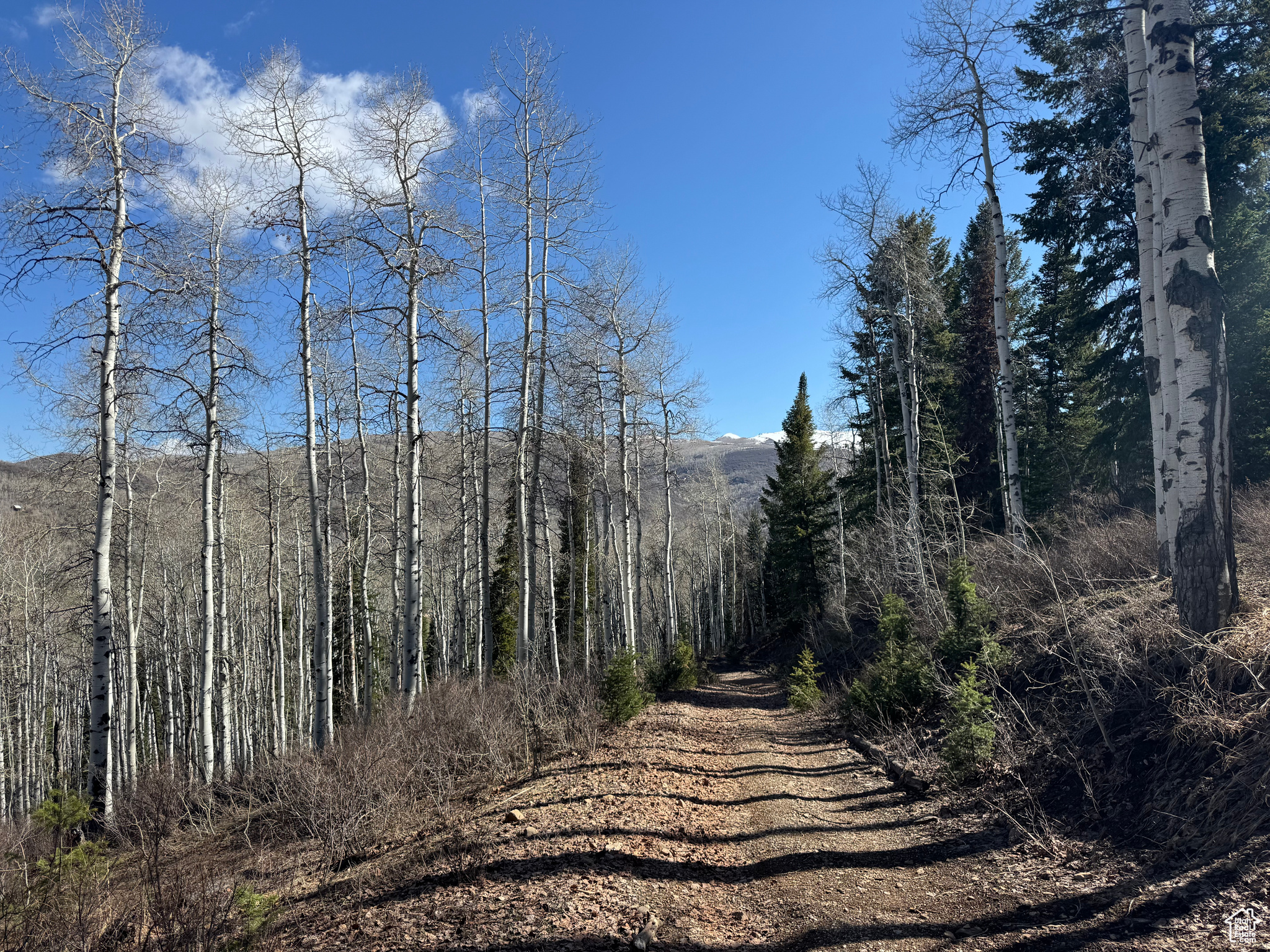 PINE MOUNTAIN - Land