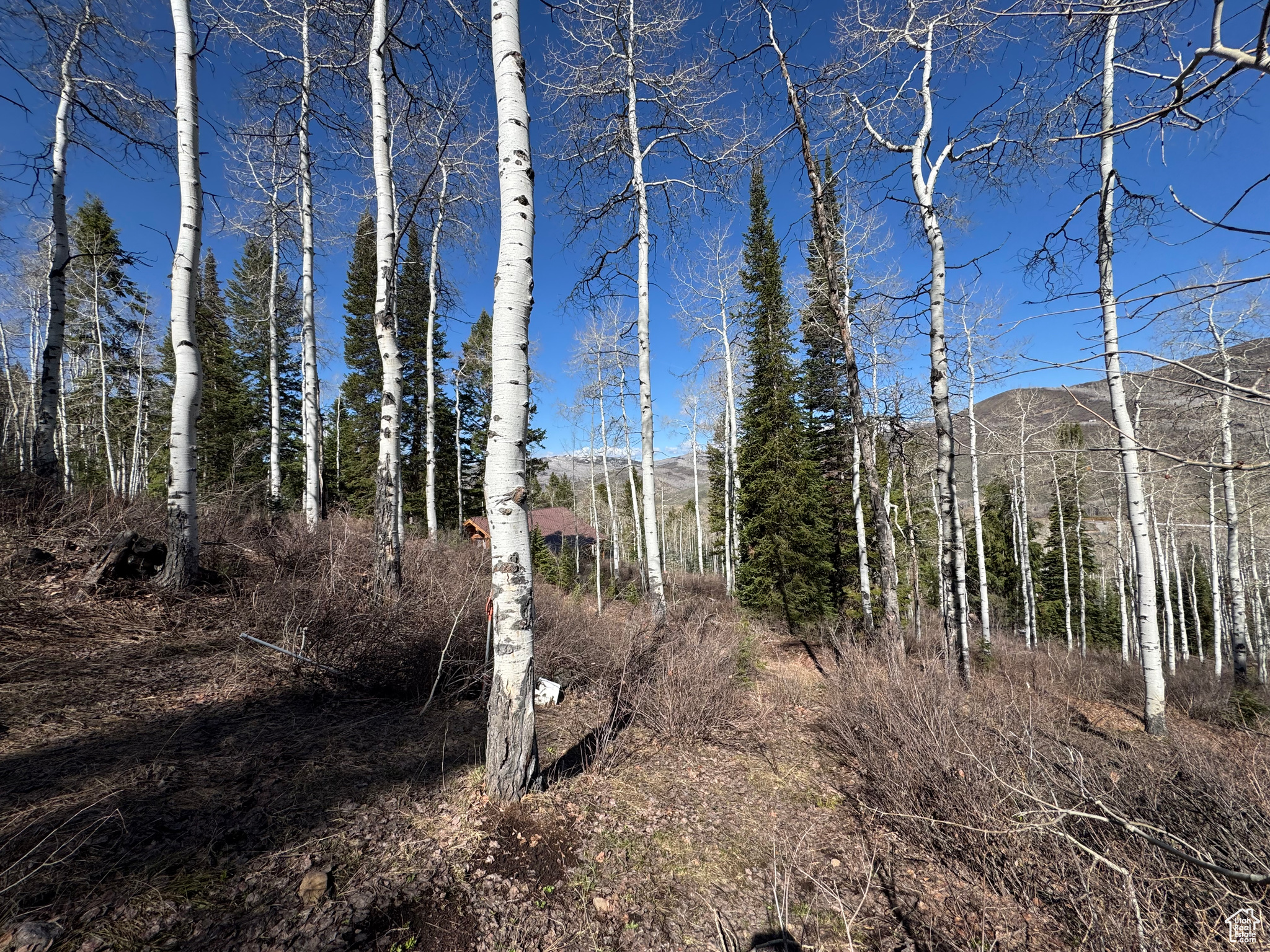 PINE MOUNTAIN - Land