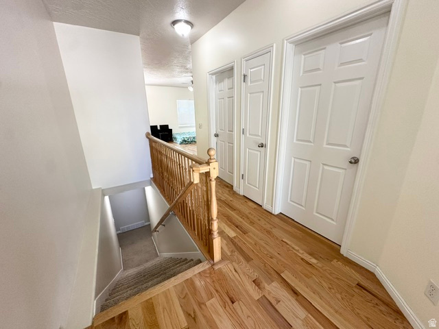 DOVE MEADOWS - Residential