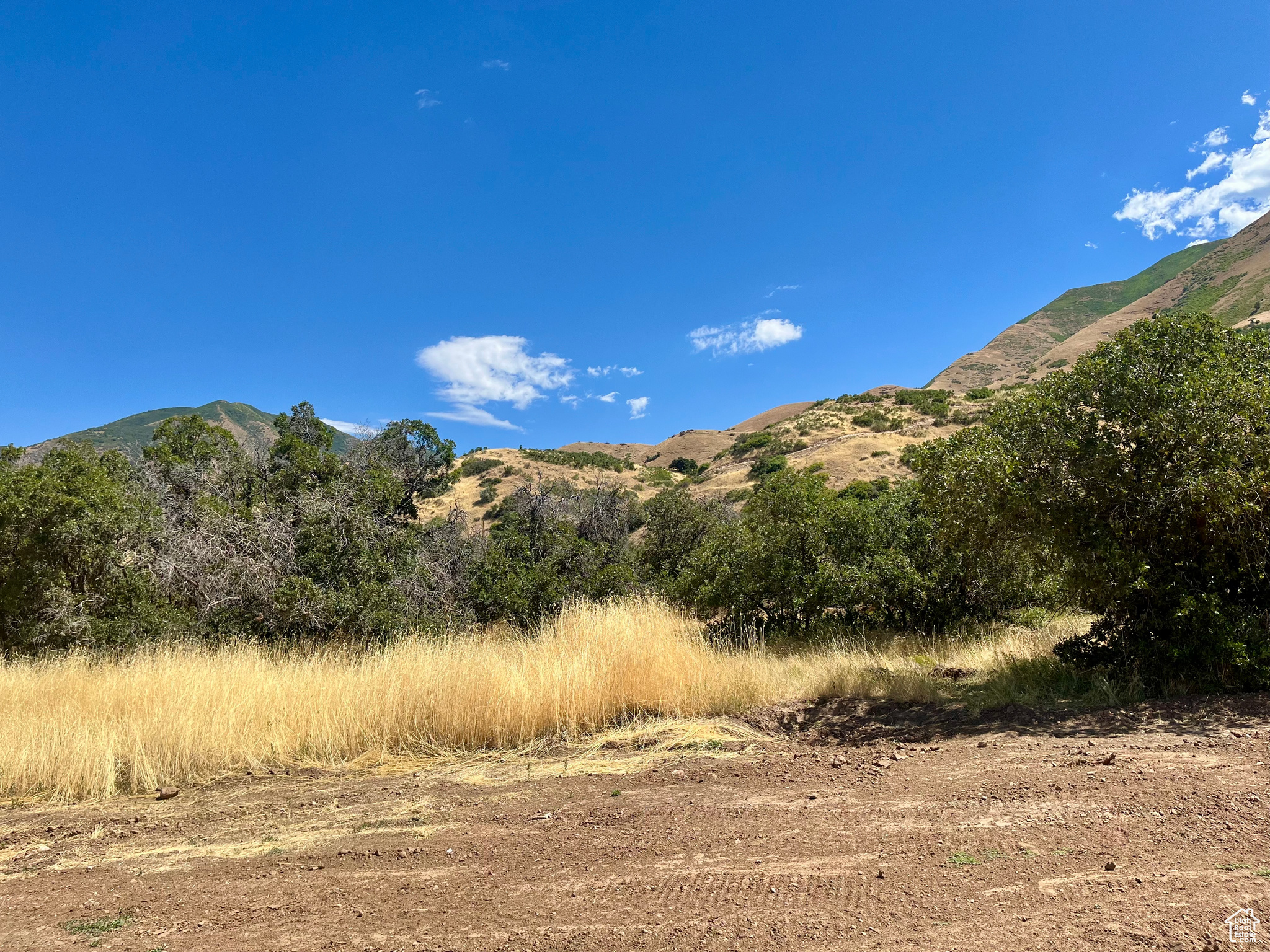 MAPLE HILLS ESTATES - Land