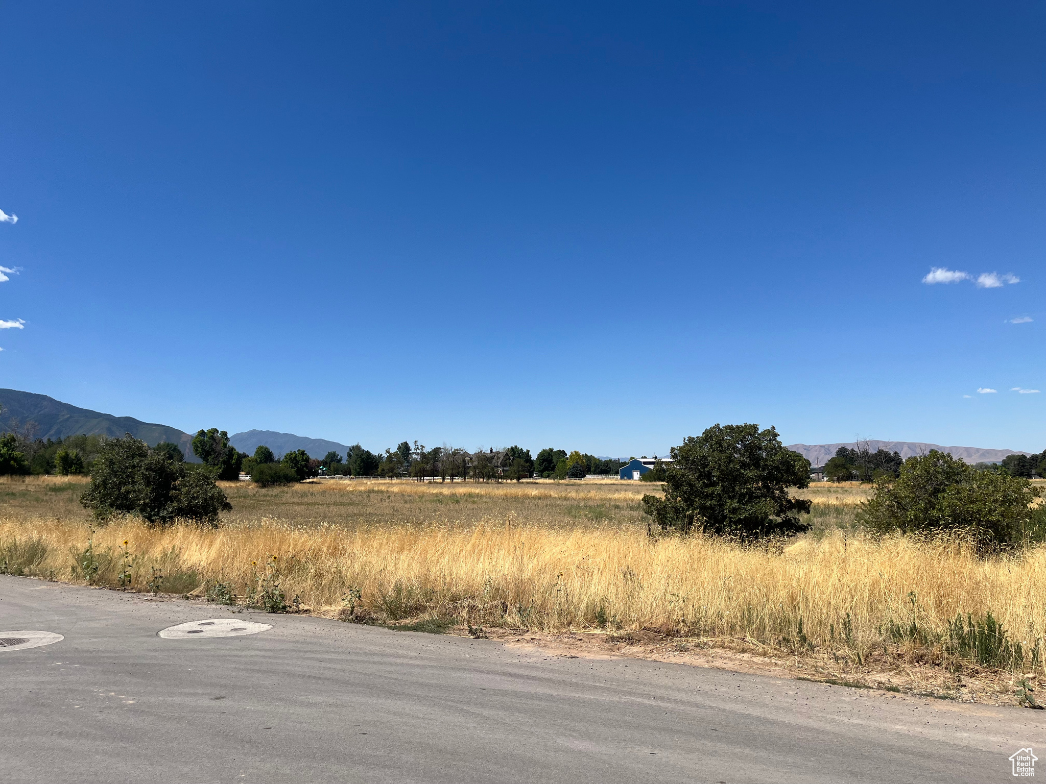 MAPLE HILLS ESTATES - Land